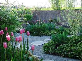 Beispielbild eines Gartens