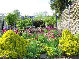 Beispielbild eines Gartens