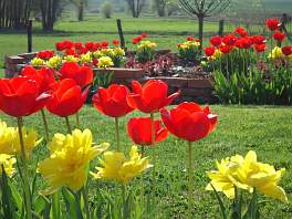 Beispielbild eines Gartens