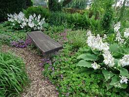 Beispielbild eines Gartens