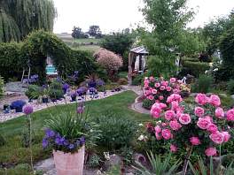 Beispielbild eines Gartens