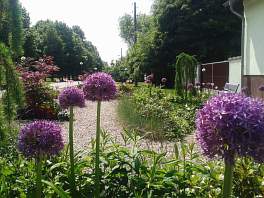 Beispielbild eines Gartens