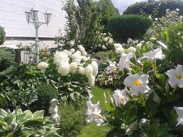 Beispielbild eines Gartens