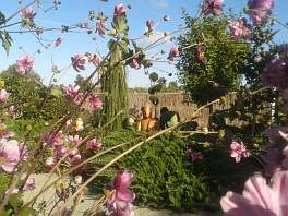 Beispielbild eines Gartens