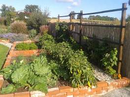 Beispielbild eines Gartens