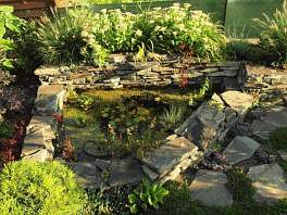 Beispielbild für einen gestalteten Teich