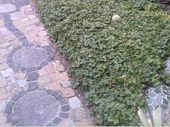 Beispielbild für Terrassengestaltung